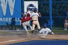 Baseball vs MIT  Wheaton College Baseball vs MIT during Semi final game of the NEWMAC Championship hosted by Wheaton. - (Photo by Keith Nordstrom) : Wheaton, baseball, NEWMAC